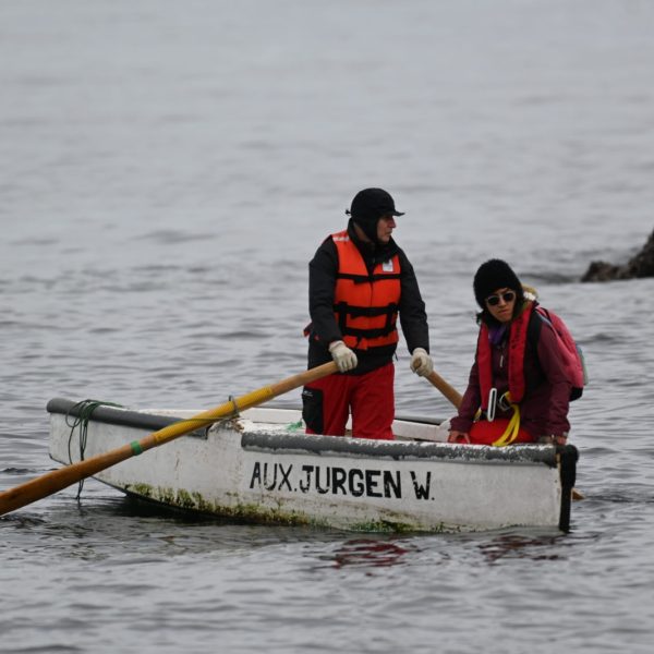 Programa de Investigación Pesquera de la UACh e IFOP realizaron nuevo monitoreo a estaciones de erizos y almejas en Aysén