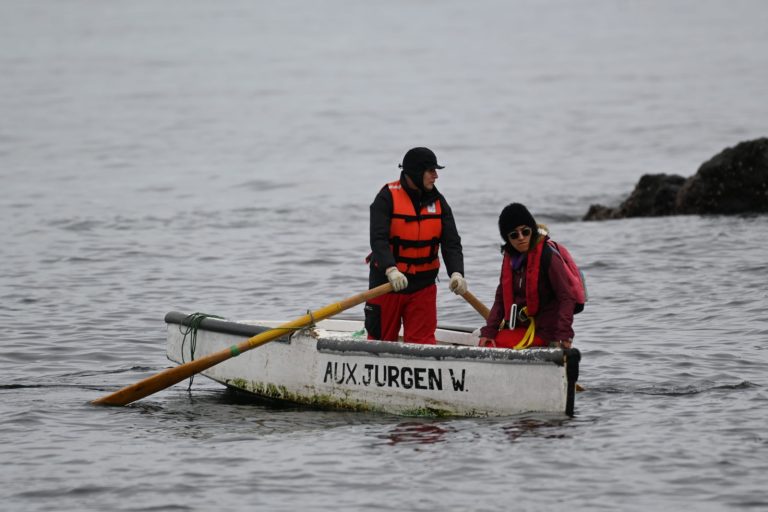 Programa de Investigación Pesquera de la UACh e IFOP realizaron nuevo monitoreo a estaciones de erizos y almejas en Aysén