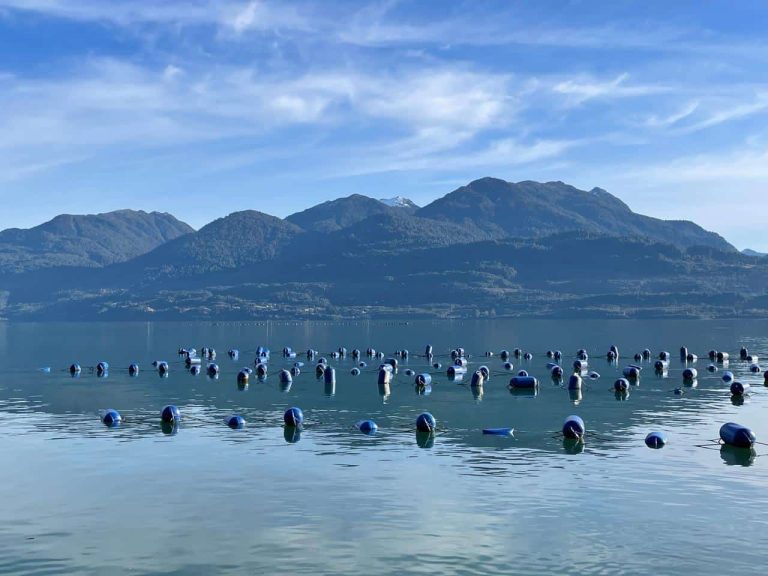 Policy Brief entrega recomendaciones para abordar la interacción pesca-acuicultura en la nueva legislación pesquera acuícola